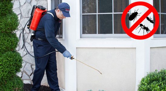 Tarsus Böcek ve Haşere İlaçlama böcek ilaçlama ve haşere kontrolü — ilaclama-tr.com